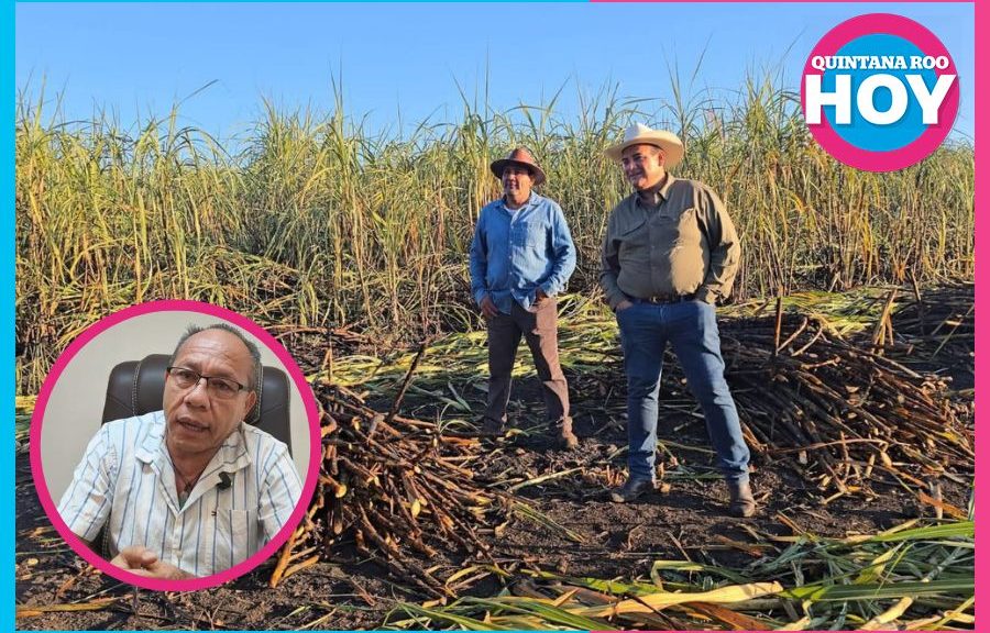 Jóvenes abandonan el campo por falta de oportunidades económicas