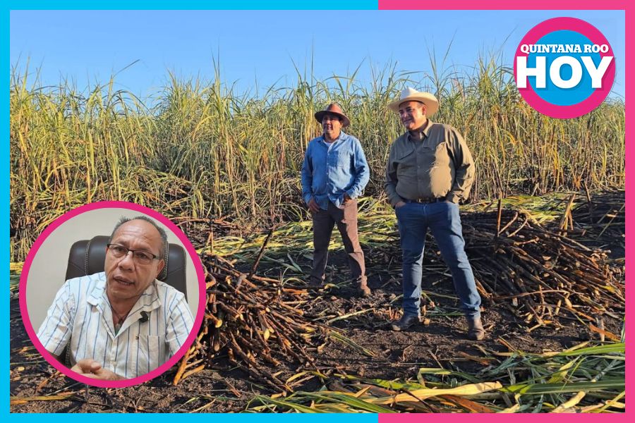 Jóvenes abandonan el campo por falta de oportunidades económicas