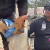 Detienen a cuatro policías por robo tras terremotos en Venezuela