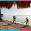 Retiran más de 37 mil toneladas de sargazo en playas de Cancún