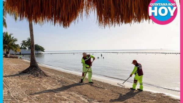 Retiran más de 37 mil toneladas de sargazo en playas de Cancún