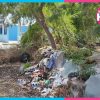 Basureros clandestinos siguen creciendo en Chetumal