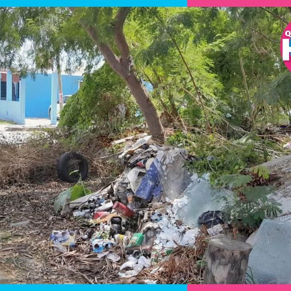 Basureros clandestinos siguen creciendo en Chetumal