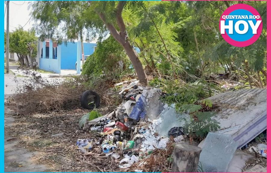 Basureros clandestinos siguen creciendo en Chetumal