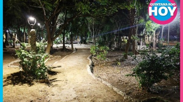Renuevan alumbrado del Parque Aurora en la Supermanzana 44