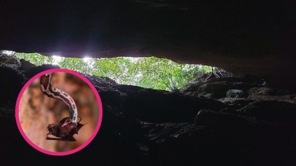Impulsan turismo comunitario en la Cueva de las Serpientes