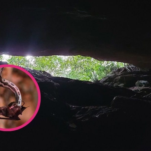Impulsan turismo comunitario en la Cueva de las Serpientes