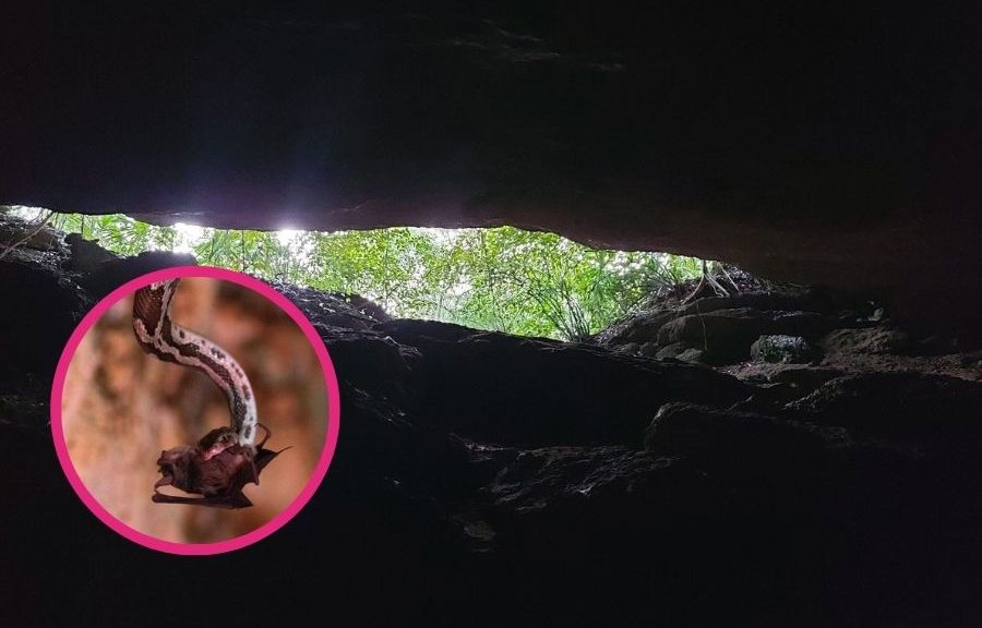 Impulsan turismo comunitario en la Cueva de las Serpientes