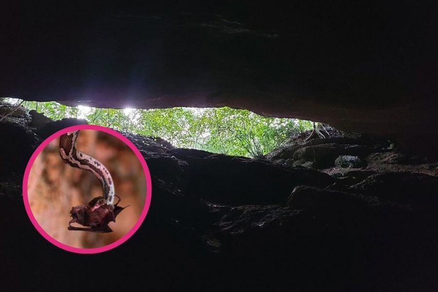 Impulsan turismo comunitario en la Cueva de las Serpientes