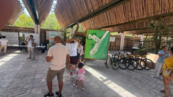 Parque del Jaguar abre gratis para mexicanos en Tulum