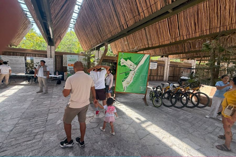 Parque del Jaguar abre gratis para mexicanos en Tulum