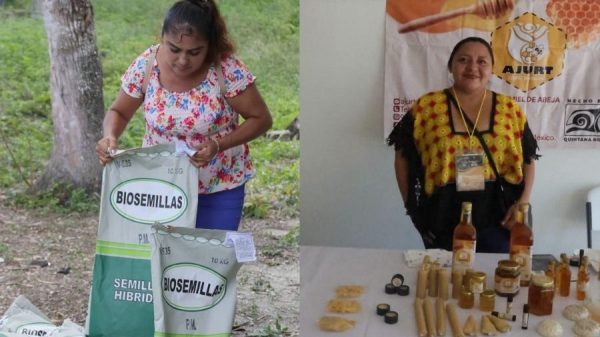 Gobierno alista centro para vender productos del campo sin intermediarios