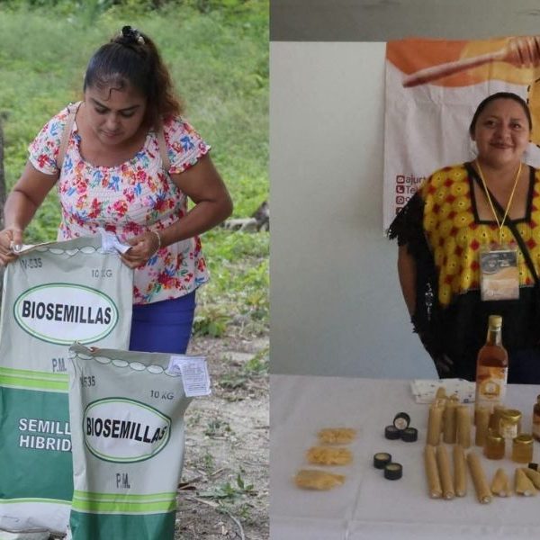 Gobierno alista centro para vender productos del campo sin intermediarios