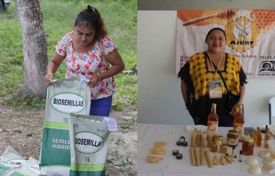 Gobierno alista centro para vender productos del campo sin intermediarios