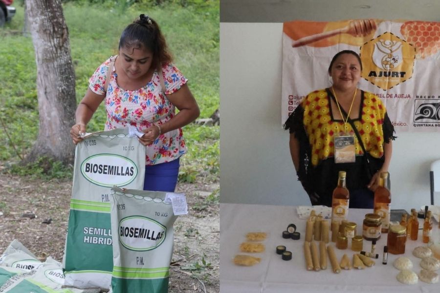 Gobierno alista centro para vender productos del campo sin intermediarios