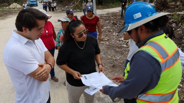 Electrificación de Colonia México beneficiará a 204 familias
