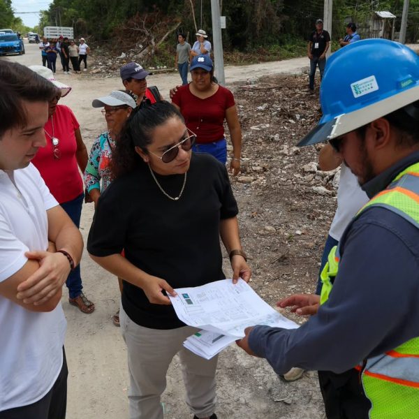 Electrificación de Colonia México beneficiará a 204 familias