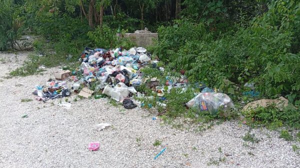 Evidencian descuido y basura en lagunas de Felipe Carrillo Puerto