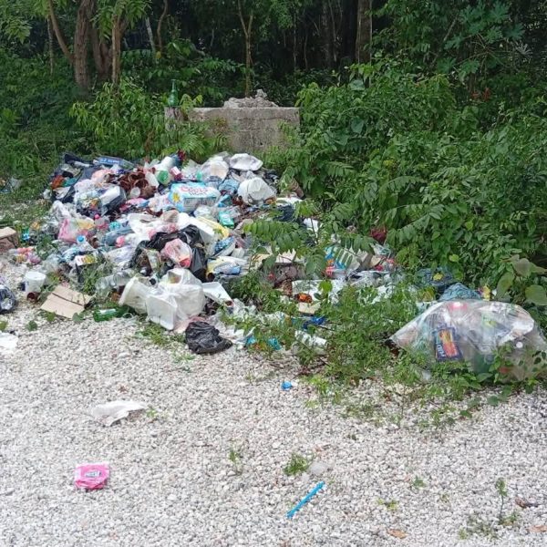 Evidencian descuido y basura en lagunas de Felipe Carrillo Puerto