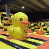 Quack llega a Cancún con 4 mil m² de diversión
