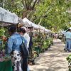 Expo Plantas de Ornato llega al Parque Ecológico Kabah