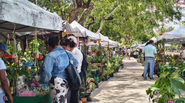 Expo Plantas de Ornato llega al Parque Ecológico Kabah