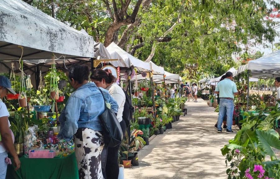 Expo Plantas de Ornato llega al Parque Ecológico Kabah