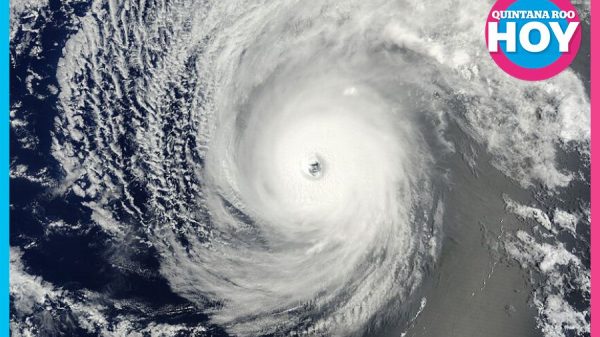 Ciclón Iselle podría formarse, la SMN vigila su posible desarrollo
