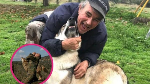 Mowgli español: vendido a los 7 años y criado por lobos