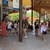 AMEXME buscan estrategias ante baja turística en Tulum
