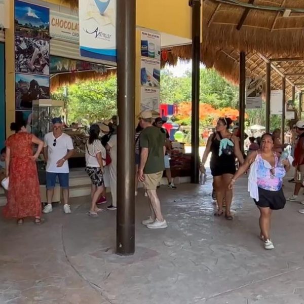 AMEXME buscan estrategias ante baja turística en Tulum