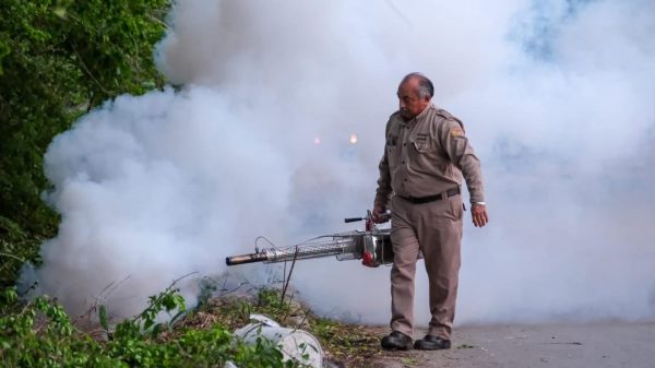 Alerta por dengue y chikungunya en Quintana Roo
