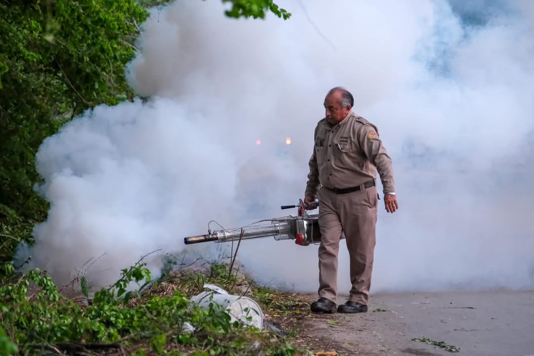 Alerta por dengue y chikungunya en Quintana Roo