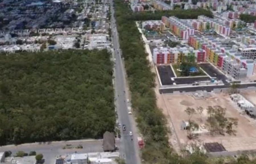 Tala y desmontes en Playa del Carmen: vecinos organizados marcan la diferencia
