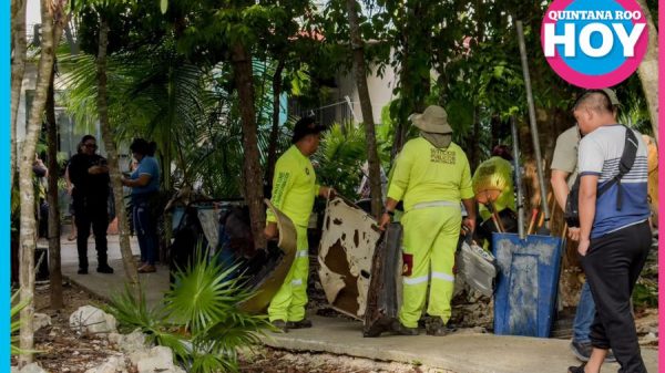 Gobierno de Cancún recupera espacios públicos en la SM 255