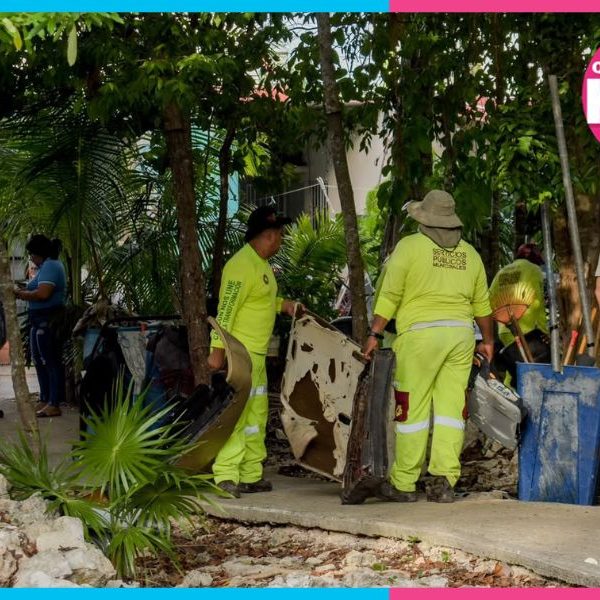 Gobierno de Cancún recupera espacios públicos en la SM 255