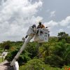 CFE refuerza infraestructura eléctrica en Quintana Roo