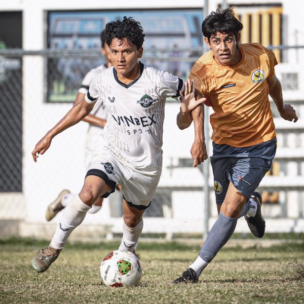 Siete equipos de Quintana Roo jugarán en la Liga TDP