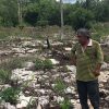 Campesinos de Felipe Carrillo Puerto exigen apoyo por sequía