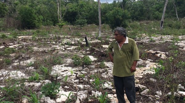 Campesinos de Felipe Carrillo Puerto exigen apoyo por sequía