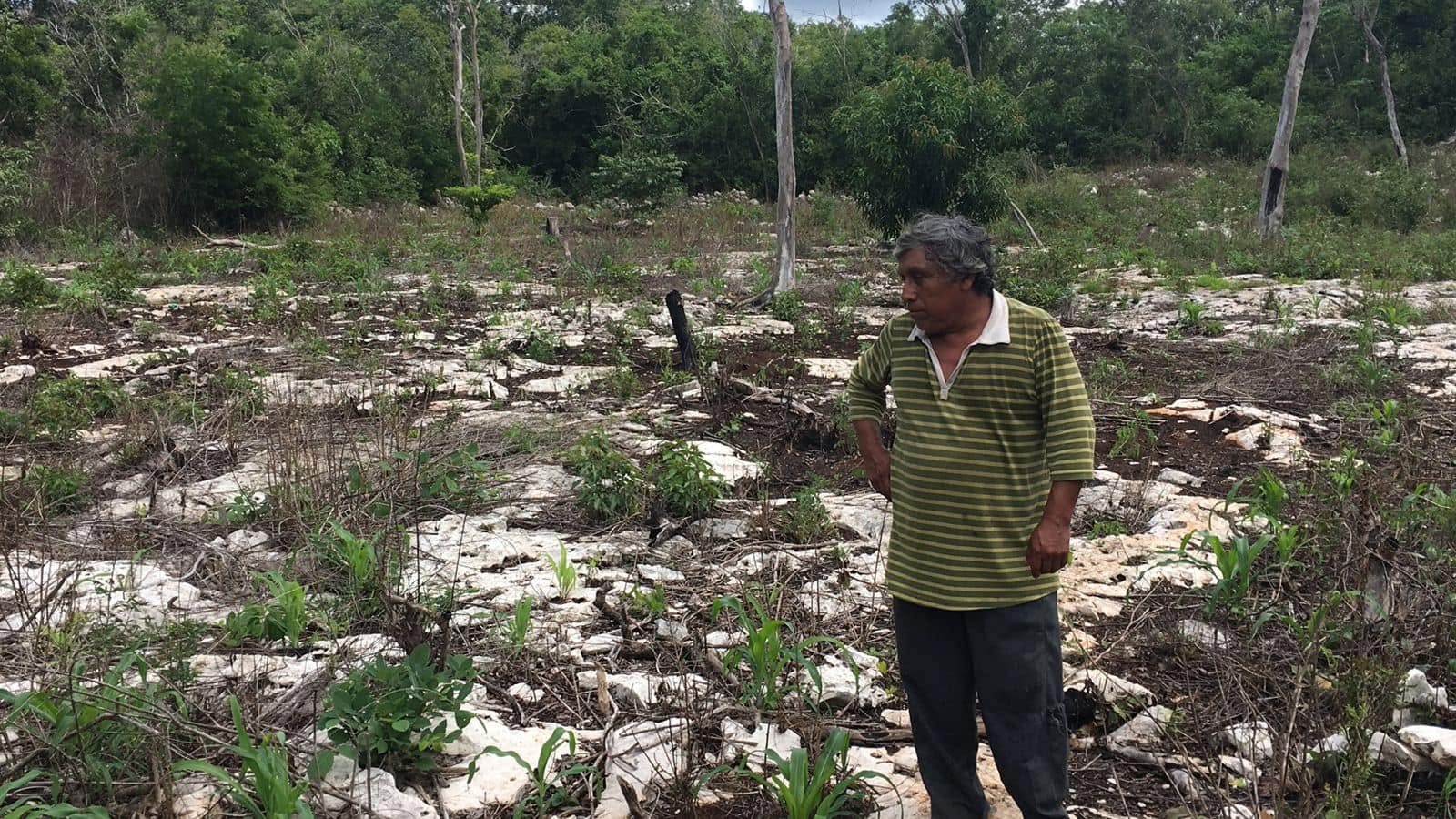 Campesinos de Felipe Carrillo Puerto exigen apoyo por sequía