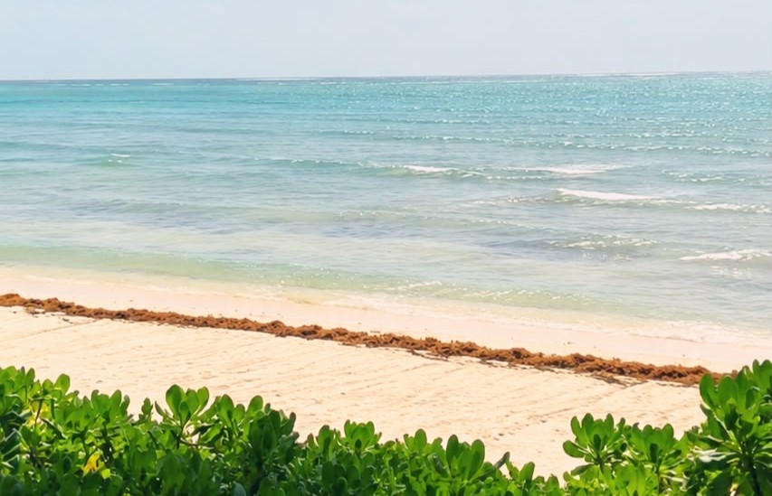 Tulum amanece con playas casi libres de sargazo