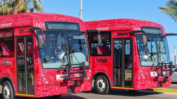 Chetumal estrena ruta eléctrica del sistema MOBI