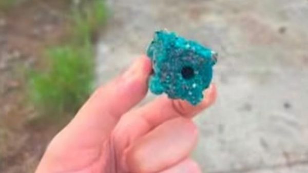 Alertan por presunto raticida en parque de La Joya
