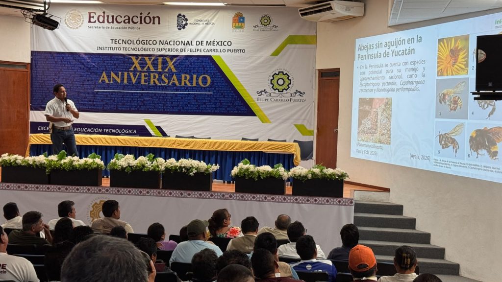 Impulsan la meliponicultura tradicional maya
