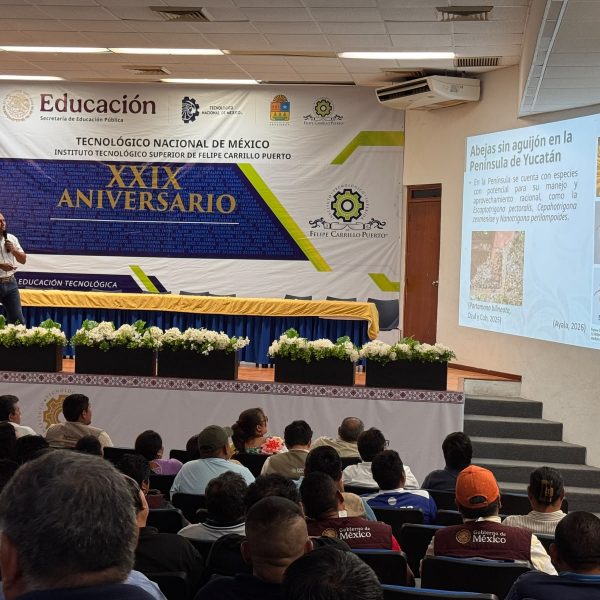 Impulsan la meliponicultura tradicional maya