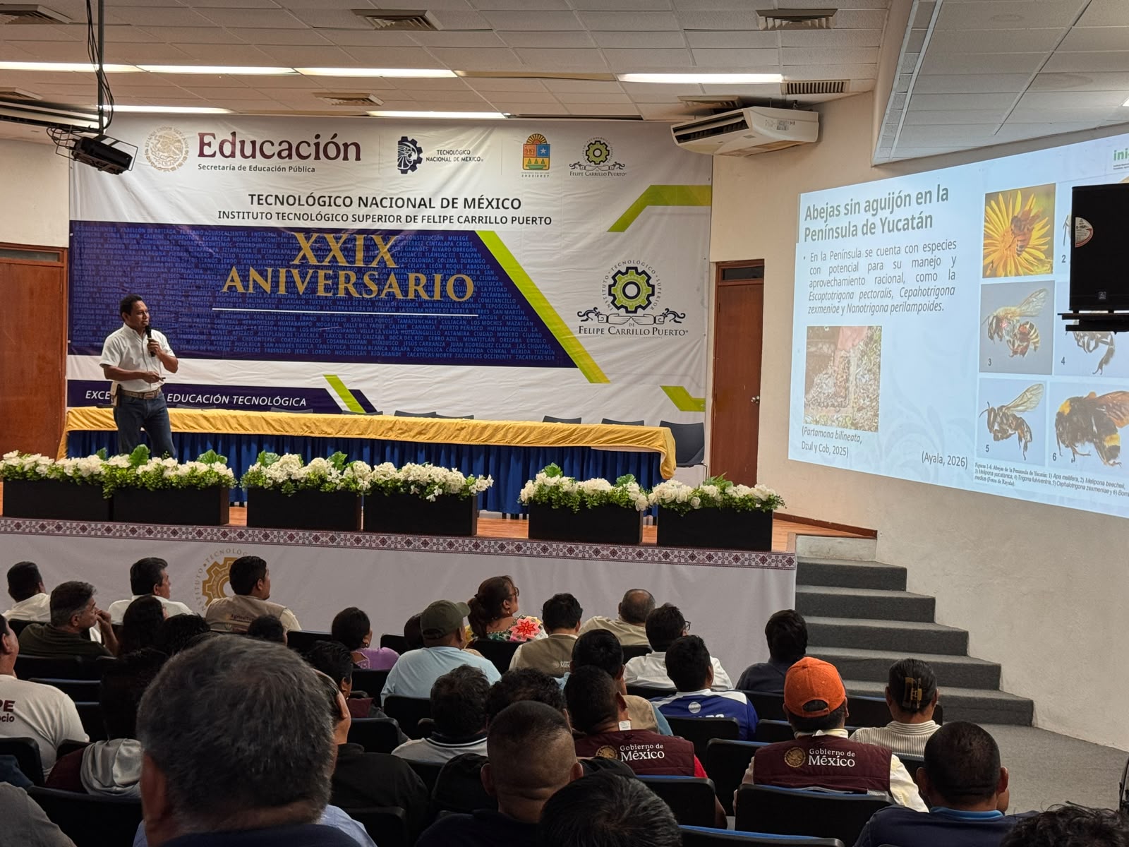 Impulsan la meliponicultura tradicional maya