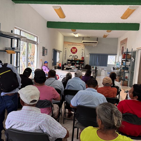 Campesinos de Felipe Carrillo Puerto enfrentan sequía