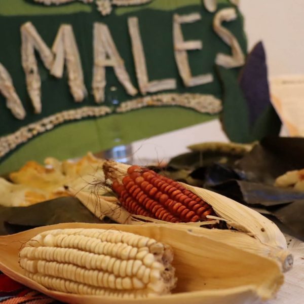 Festival del Maíz celebra la cultura maya en Felipe Carrillo Puerto
