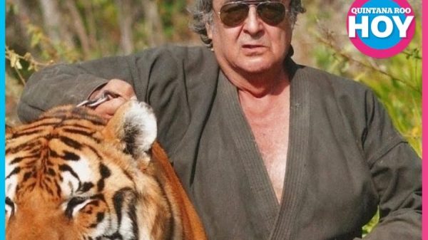 Cancún se moviliza por Pepe Tigre y sus jaguares